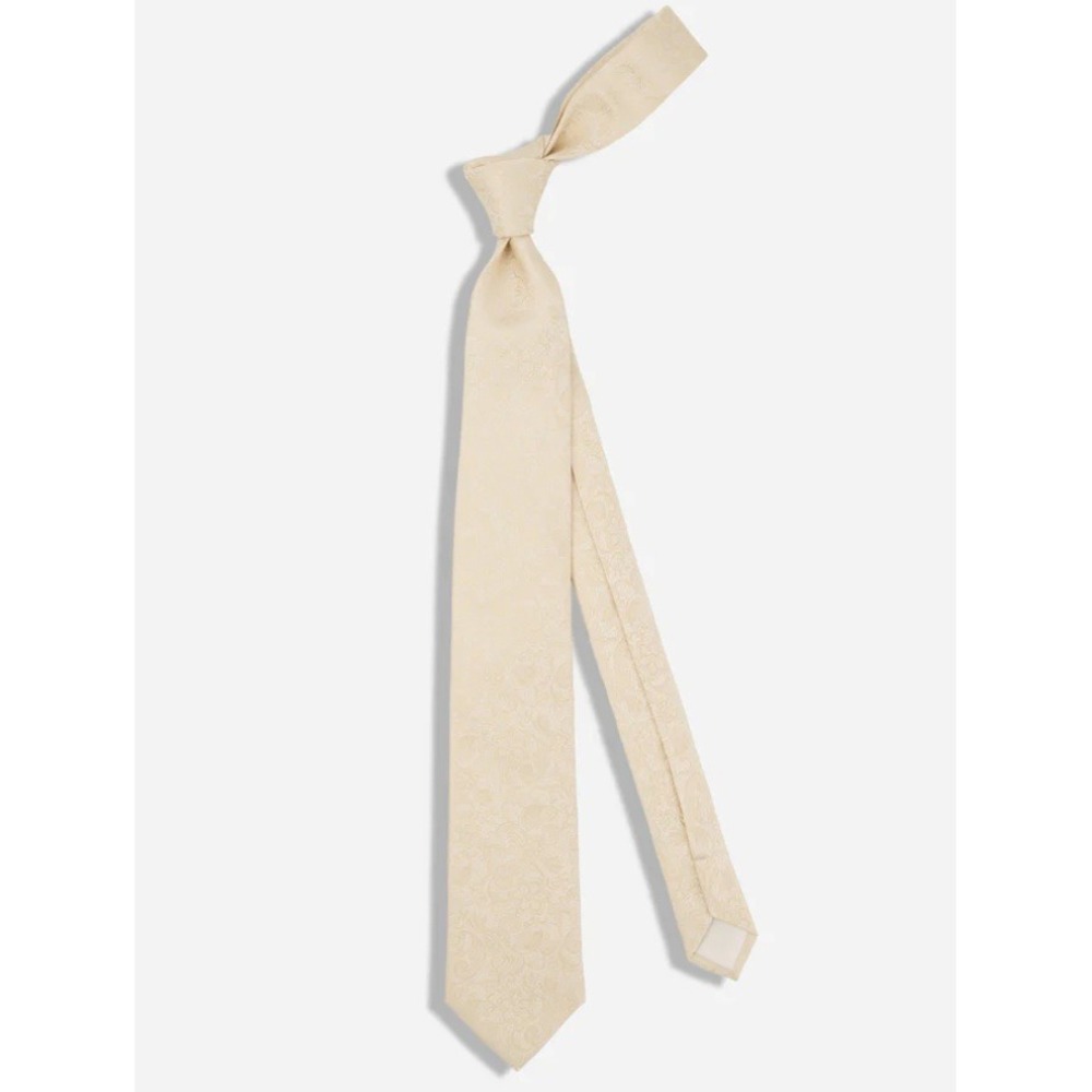 Ceremony Paisley Light Champagne 3" Formal Wedding Necktie NWT